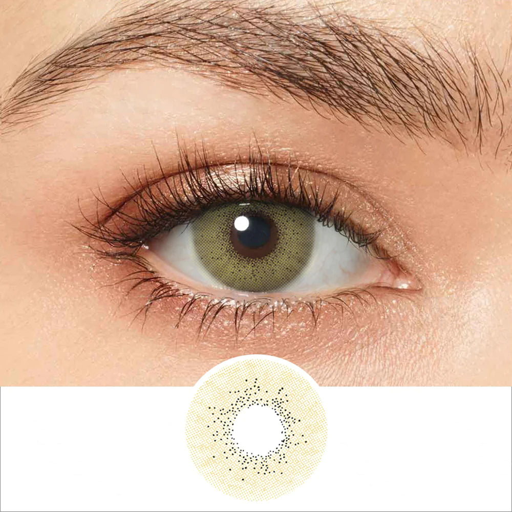 Magister | Contact Lens Brown