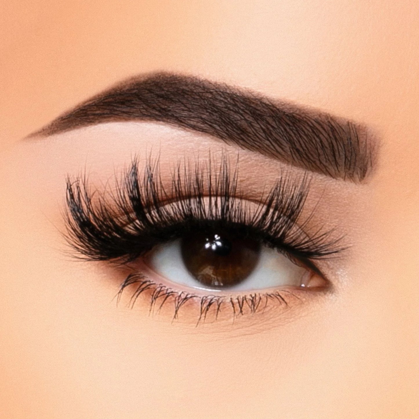 Beauty Creation On The Daily Lashes